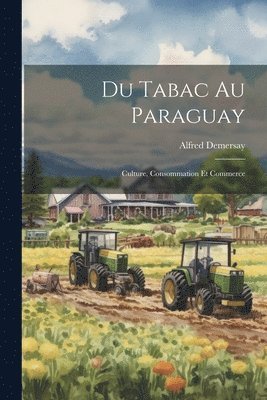 bokomslag Du Tabac au Paraguay