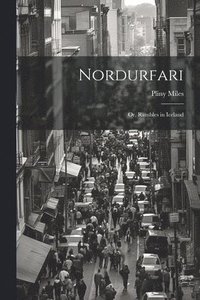 bokomslag Nordurfari