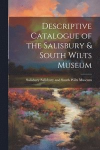 bokomslag Descriptive Catalogue of the Salisbury & South Wilts Museum