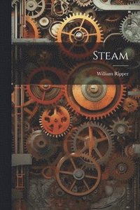 bokomslag Steam