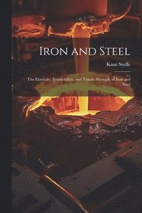 bokomslag Iron and Steel