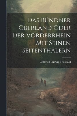 bokomslag Das Bndner Oberland Oder der Vorderrhein mit Seinen Seitenthlern