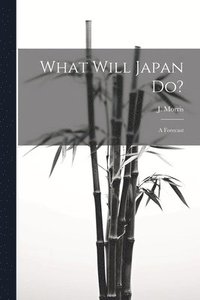 bokomslag What Will Japan Do?