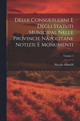 bokomslag Delle Consuetudini e Degli Statuti Municipal Nelle Provincie Napolitane Notizie e Monumenti; Volume 1