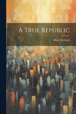 bokomslag A True Republic