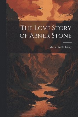 Edwin Carlile Litsey - Love Story of Abner Stone, Häftad