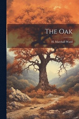 Oak