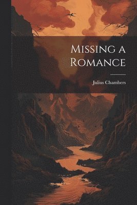 bokomslag Missing a Romance