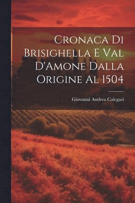 bokomslag Cronaca di Brisighella e Val D'Amone Dalla Origine al 1504