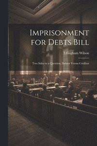 bokomslag Imprisonment for Debts Bill