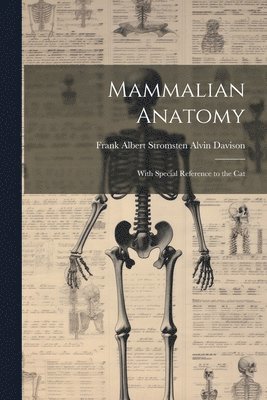 bokomslag Mammalian Anatomy