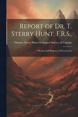 bokomslag Report of Dr. T. Sterry Hunt, F.R.S.,