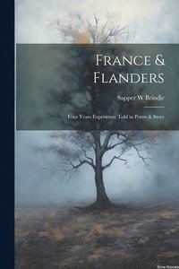 bokomslag France & Flanders