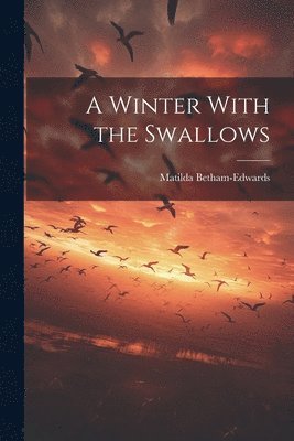 A Winter With the Swallows 1