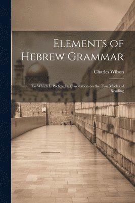 bokomslag Elements of Hebrew Grammar