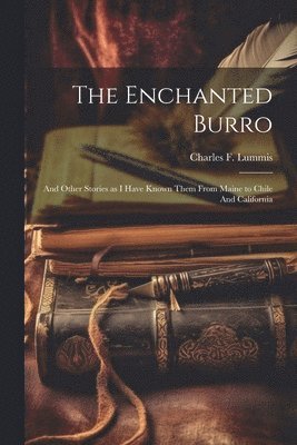 bokomslag The Enchanted Burro