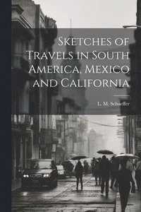 bokomslag Sketches of Travels in South America, Mexico and California