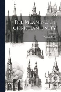 bokomslag The Meaning of Christian Unity