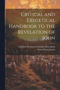 bokomslag Critical and Exegetical Handbook to the Revelation of John