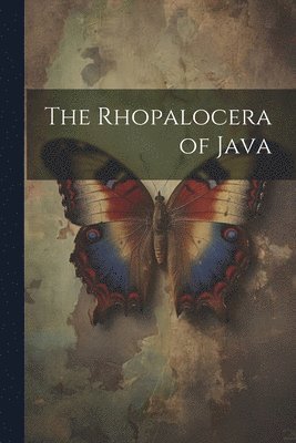 bokomslag Rhopalocera of Java