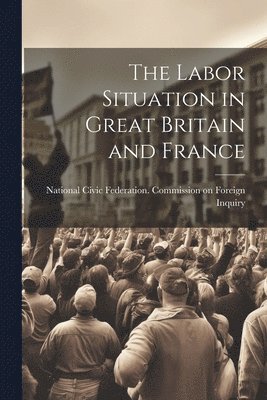 bokomslag The Labor Situation in Great Britain and France