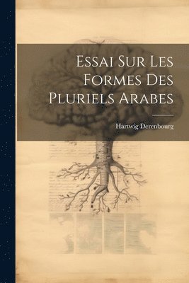 Hartwig Derenbourg - Essai sur les Formes des Pluriels Arabes, Häftad
