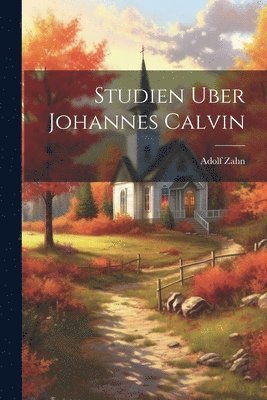 bokomslag Studien uber Johannes Calvin