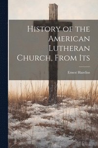 bokomslag History of the American Lutheran Church, From Its