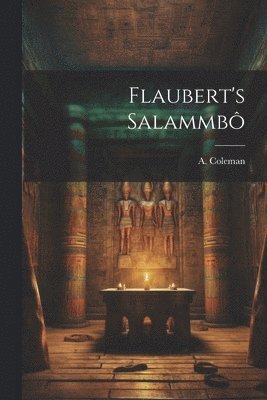 bokomslag Flaubert's Salammb