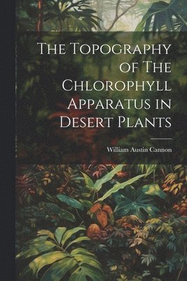Topography of The Chlorophyll Apparatus in Desert Plants