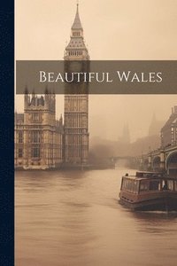 bokomslag Beautiful Wales