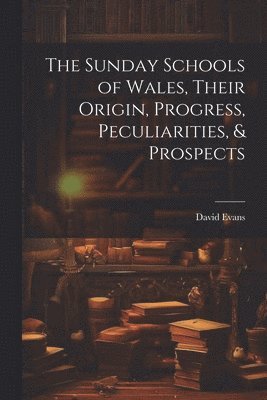 David Evans - Sunday Schools of Wales, Their Origin, Progress, Peculiarities, & Prospects, Häftad