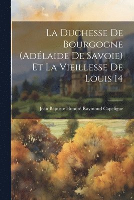 La duchesse de Bourgogne (Adlaide de Savoie) et la vieillesse de Louis 14 1