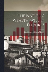 bokomslag Nation's Wealth, Will It Endure?