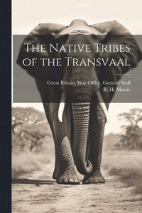 bokomslag The Native Tribes of the Transvaal