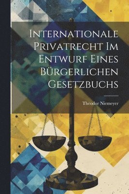 Theodor Niemeyer - Internationale Privatrecht Im Entwurf Eines Bürgerlichen Gesetzbuchs, Häftad