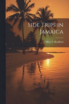 Side Trips in Jamaica 1