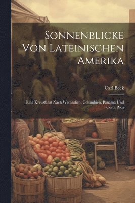 bokomslag Sonnenblicke Von Lateinischen Amerika