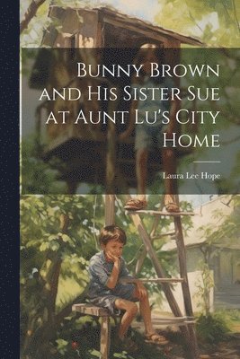 bokomslag Bunny Brown and His Sister Sue at Aunt Lu's City Home