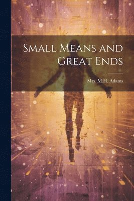 bokomslag Small Means and Great Ends