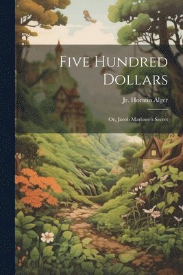 bokomslag Five Hundred Dollars