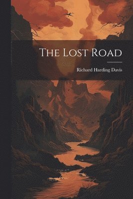 bokomslag Lost Road