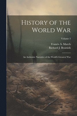 bokomslag History of the World War