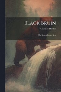 bokomslag Black Bruin