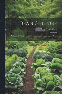 bokomslag Bean Culture