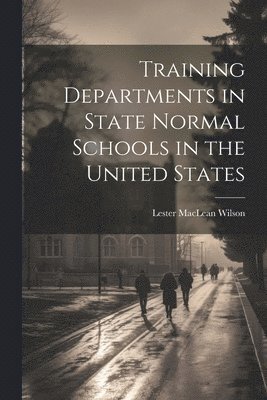 bokomslag Training Departments in State Normal Schools in the United States