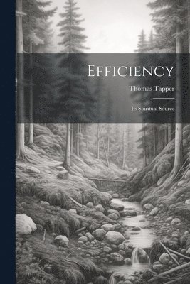 Thomas Tapper - Efficiency, Häftad