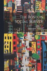 bokomslag The Boston Social Survey