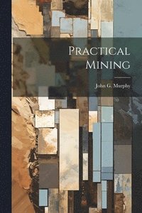 bokomslag Practical Mining