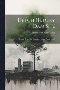 bokomslag Hetch Hetchy Dam Site